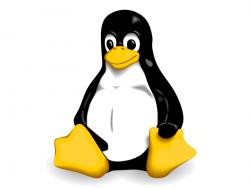 Canonical warnt vor kritischer Linux-Lücke