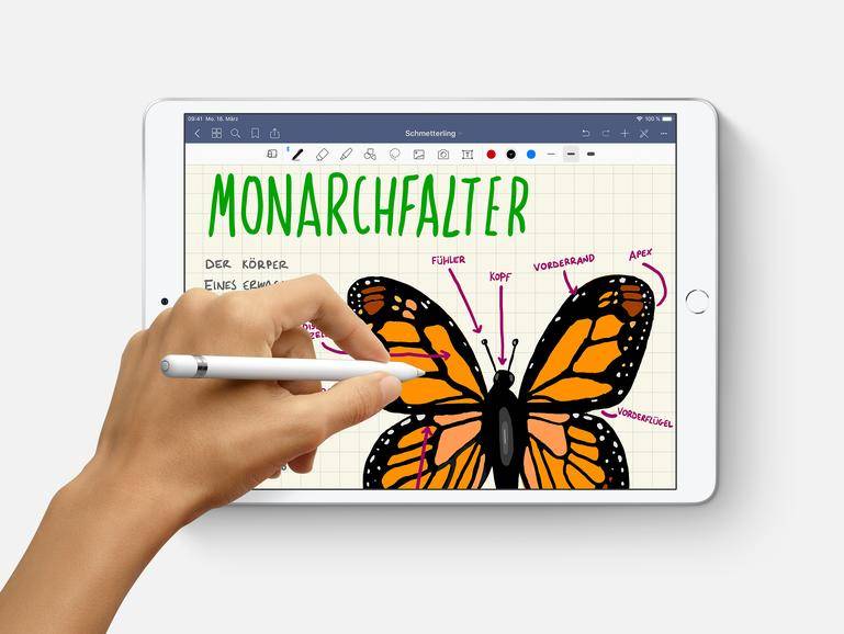 Quo vadis, iPad? Welches Apple-Tablet man sich 2019 kaufen sollte